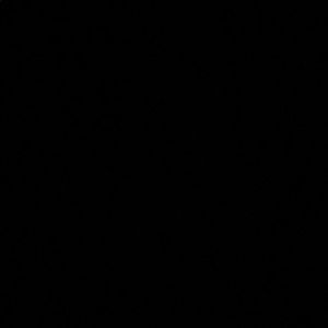 Meet your Posher, Yajaira